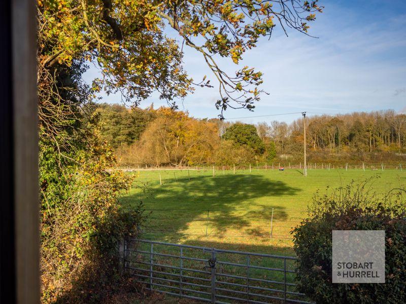 Field Views