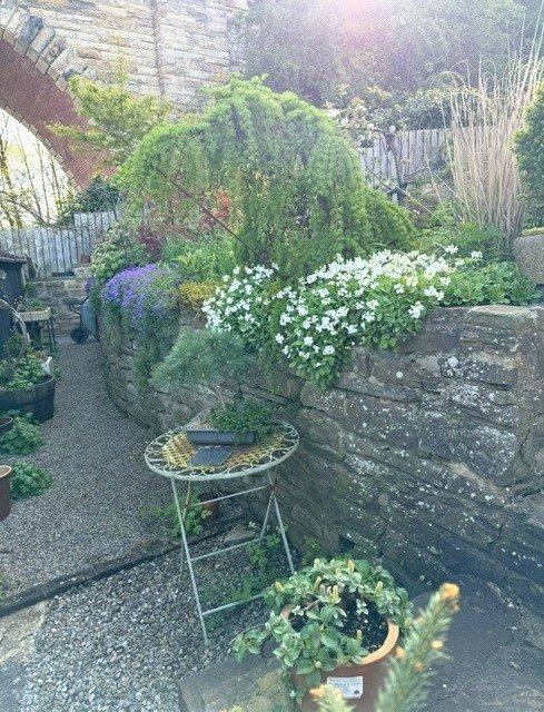 Garden In Summer