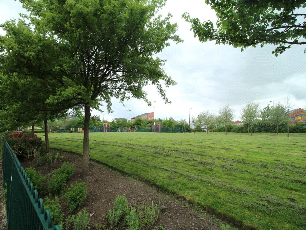 The Park
