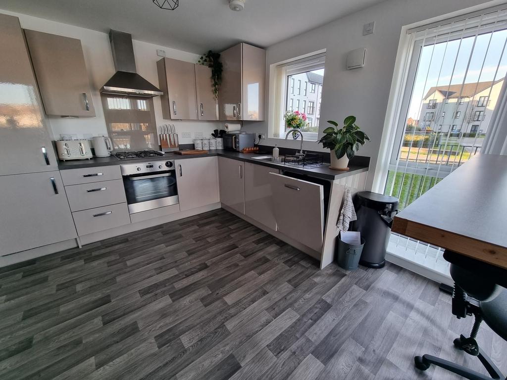 Lounge/kitchen/dining room