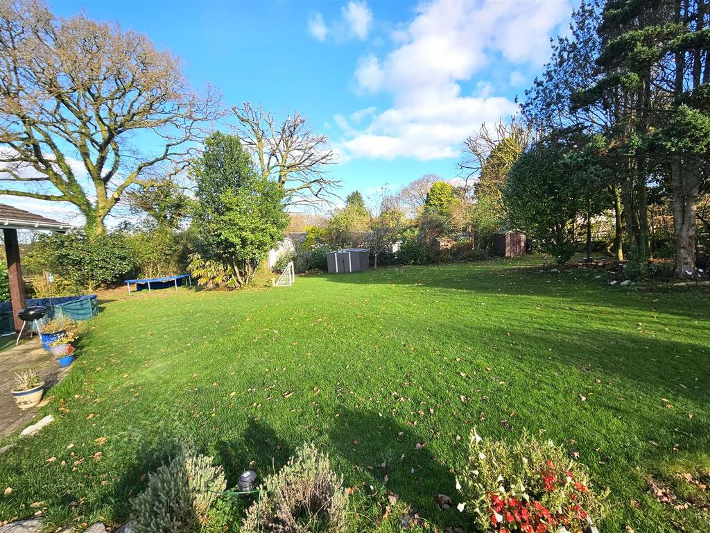 Garden.jpg