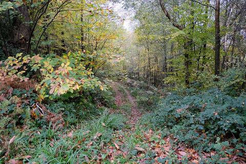 undefined, Witherenden Hill, Etchingham TN19