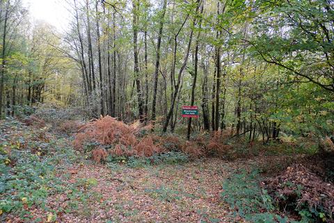undefined, Witherenden Hill, Etchingham TN19