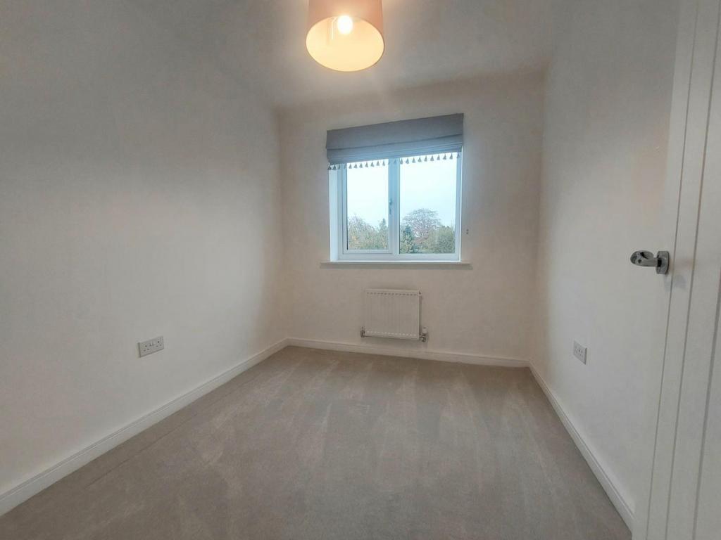 N POQTO2h D02p Sc Dg38 Xo4g.jpg