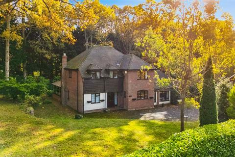 undefined, Heathrow Copse, Baughurst, Tadley, Hampshire, RG26