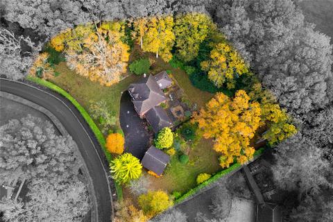 undefined, Heathrow Copse, Baughurst, Tadley, Hampshire, RG26