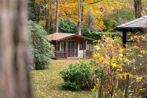 undefined, Heathrow Copse, Baughurst, Tadley, Hampshire, RG26