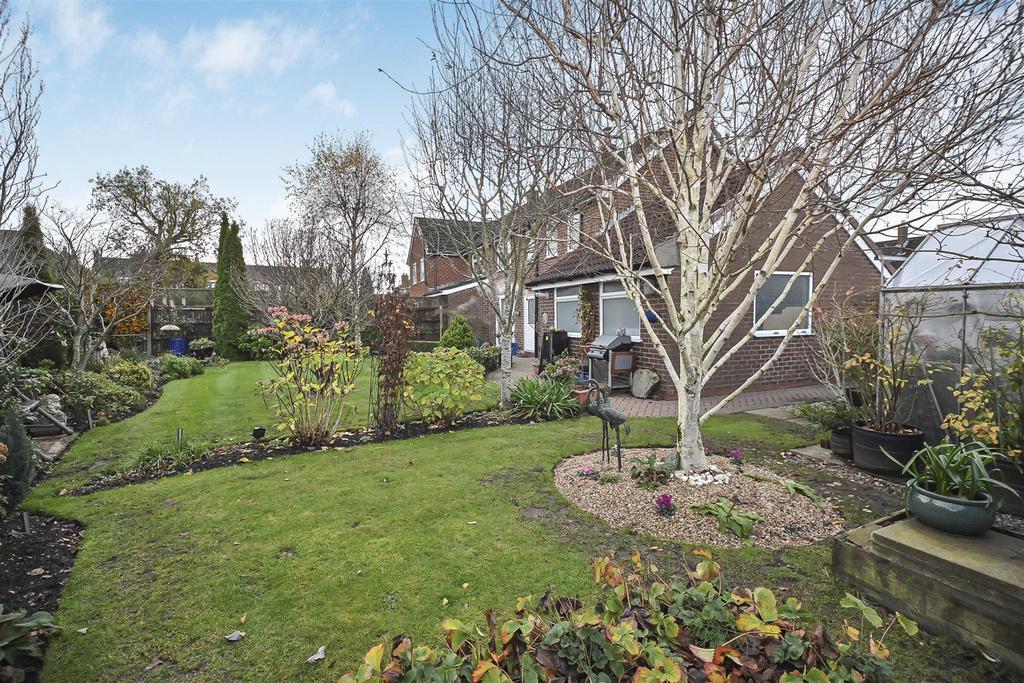 20 Lime Grove Garden (9).jpg