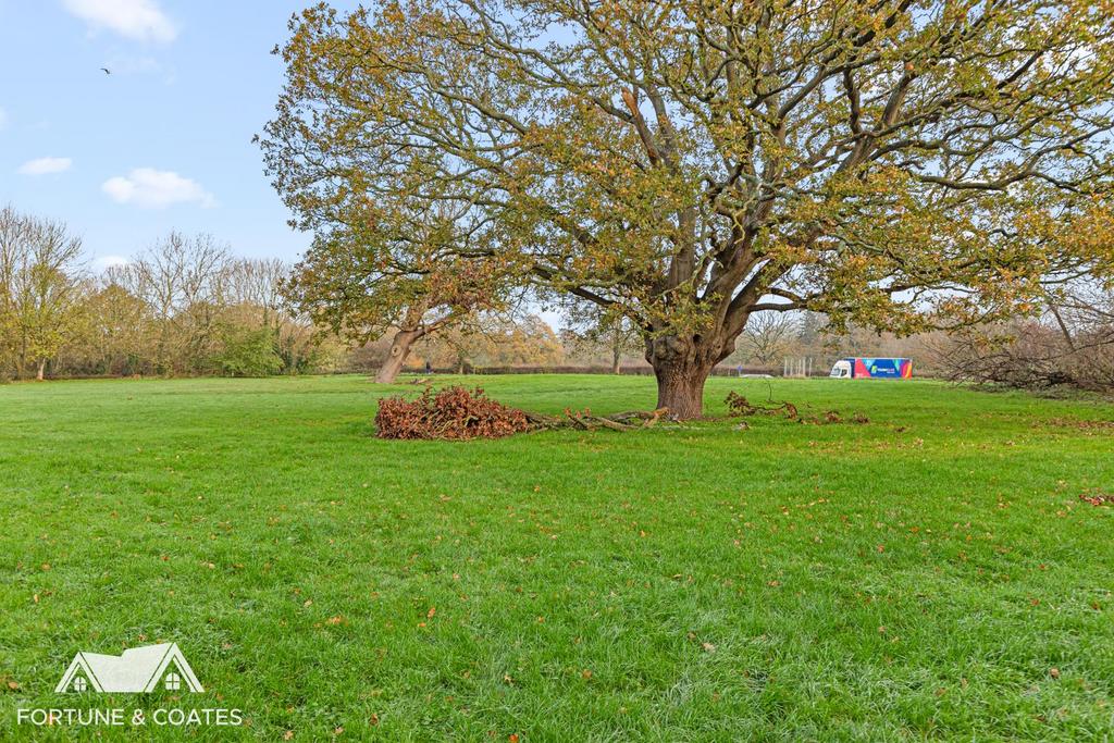 St Andrews Meadow 15.jpg