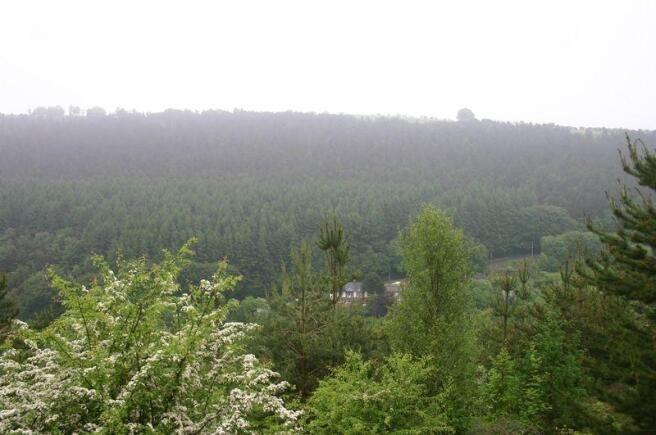 From great distance
