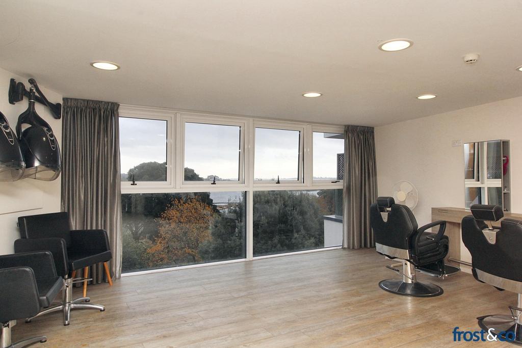 Salon View