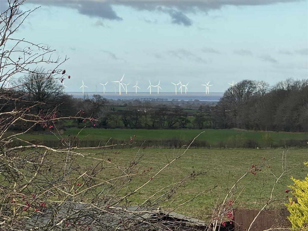 Img 3644 3.jpg