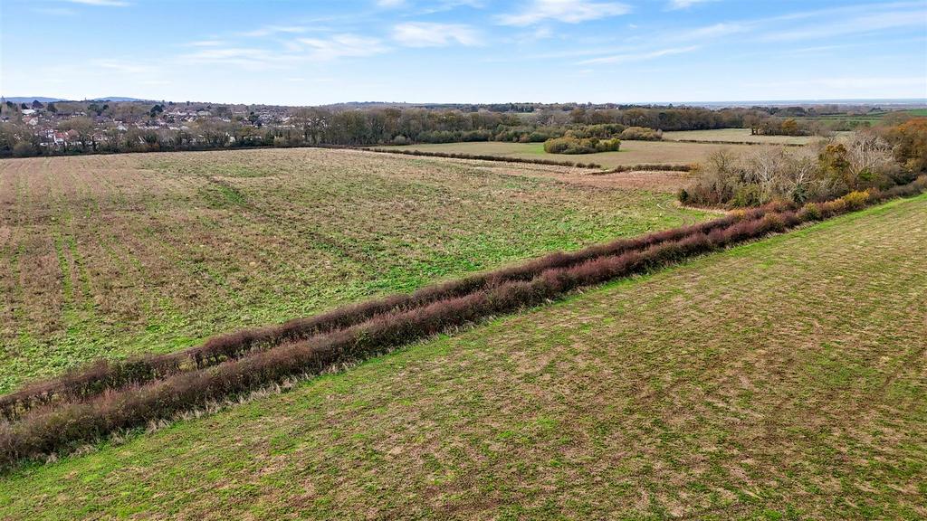 Dji 20251124130456 0789 d.jpg