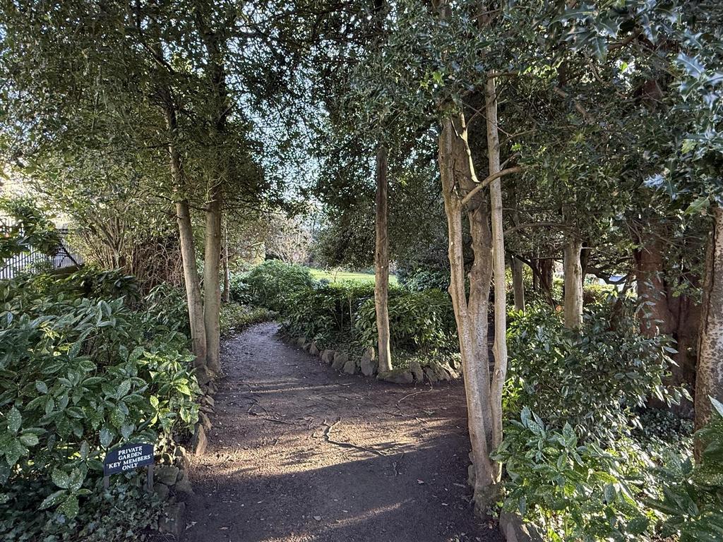 Communal garden.jpeg