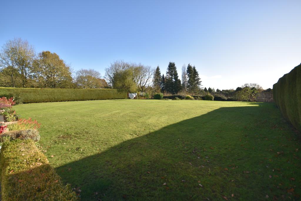 Communal Garden