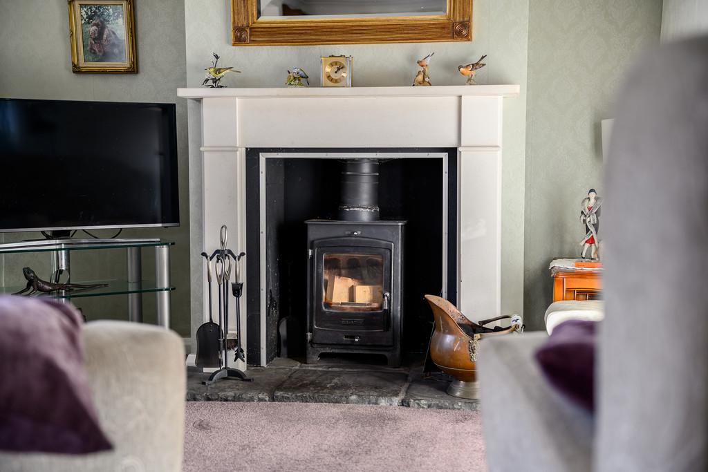 Log Burner