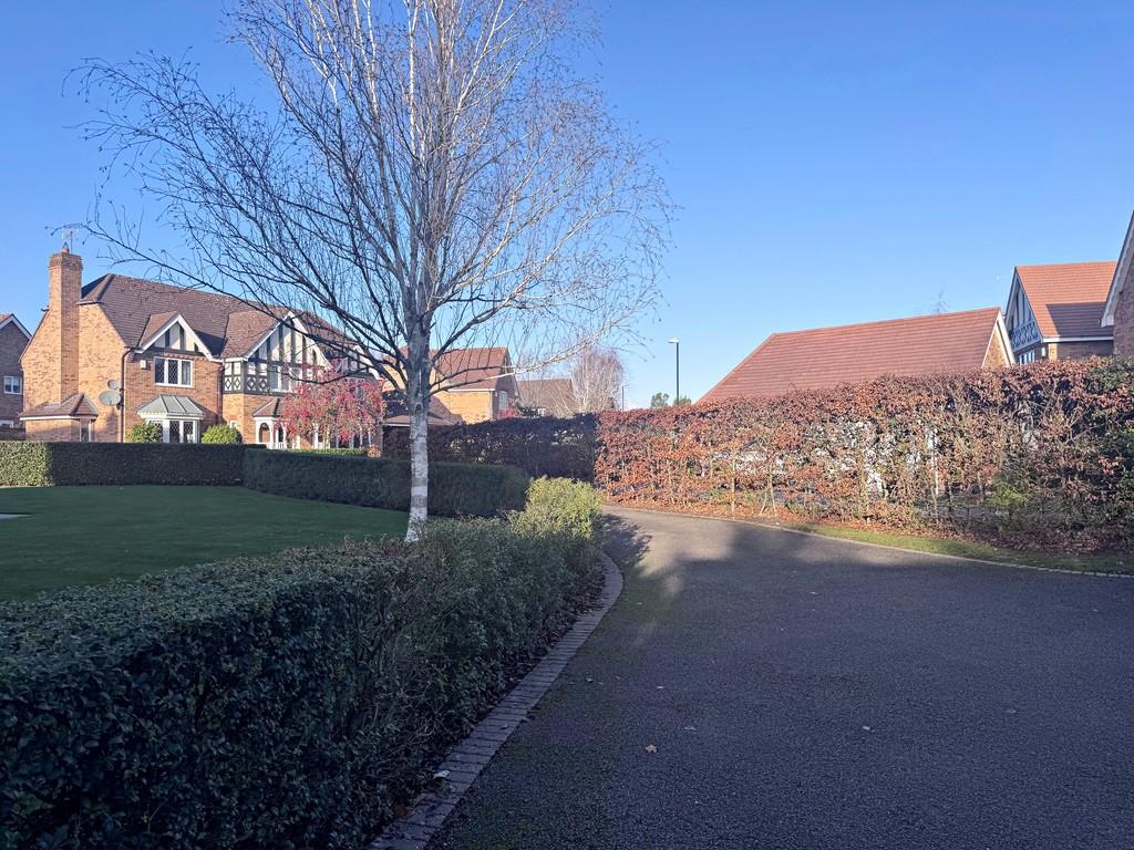 Driveway View To Front