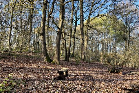 undefined, Didley Wood, Callow HR2