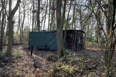 undefined, Didley Wood, Callow HR2