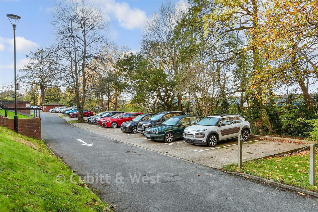 Driveway/Parking