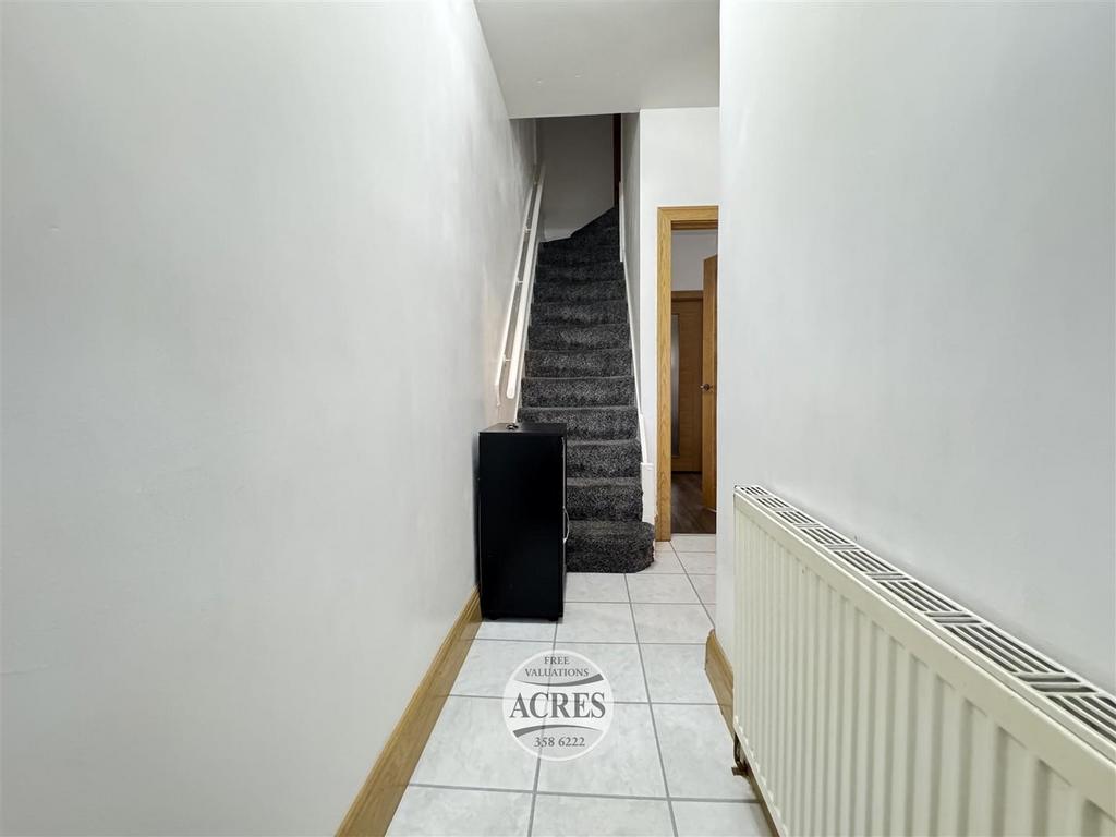 IMG 1338 (Large).jpg