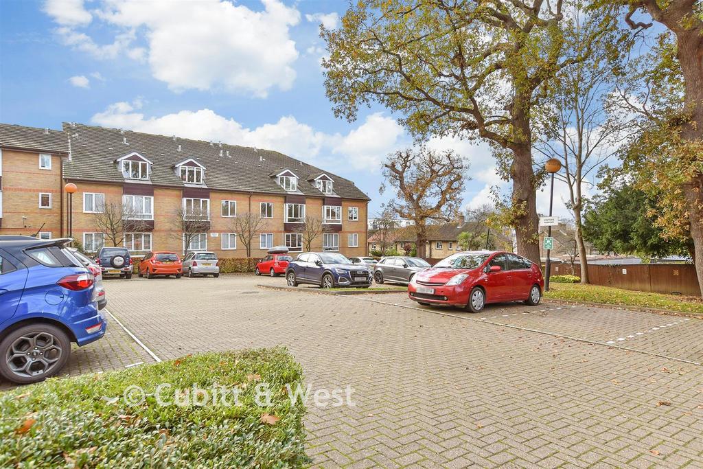Driveway/Parking