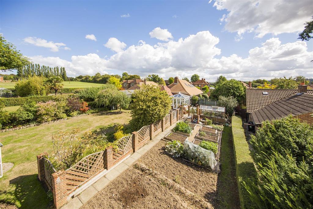 Vegetable Patch