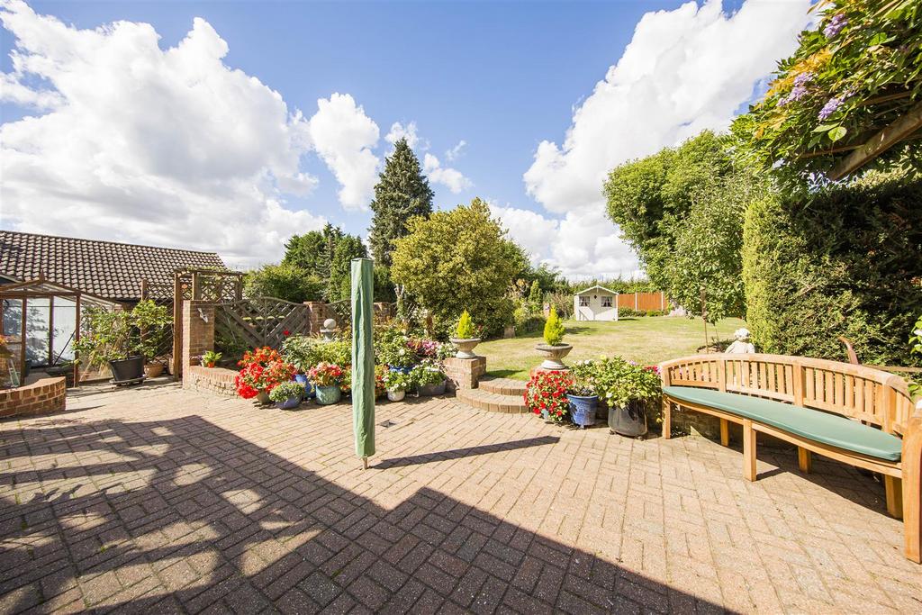 Social Patio