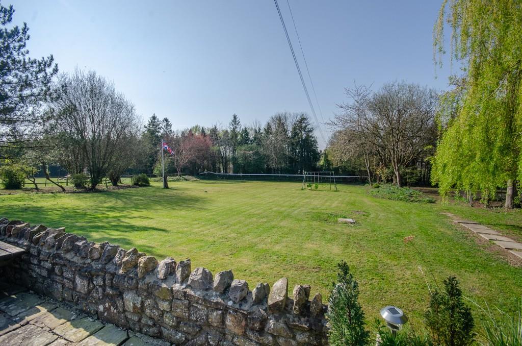 Front garden.jpg