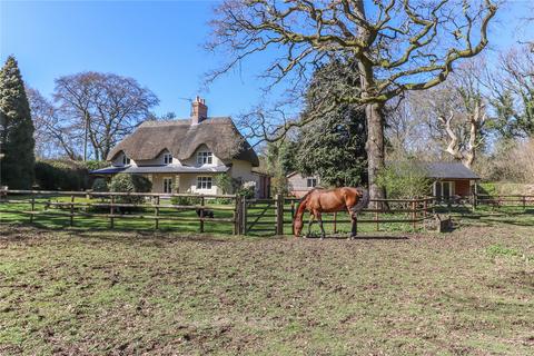 undefined, Easton Common Hill, Winterslow, Salisbury, Wiltshire, SP5