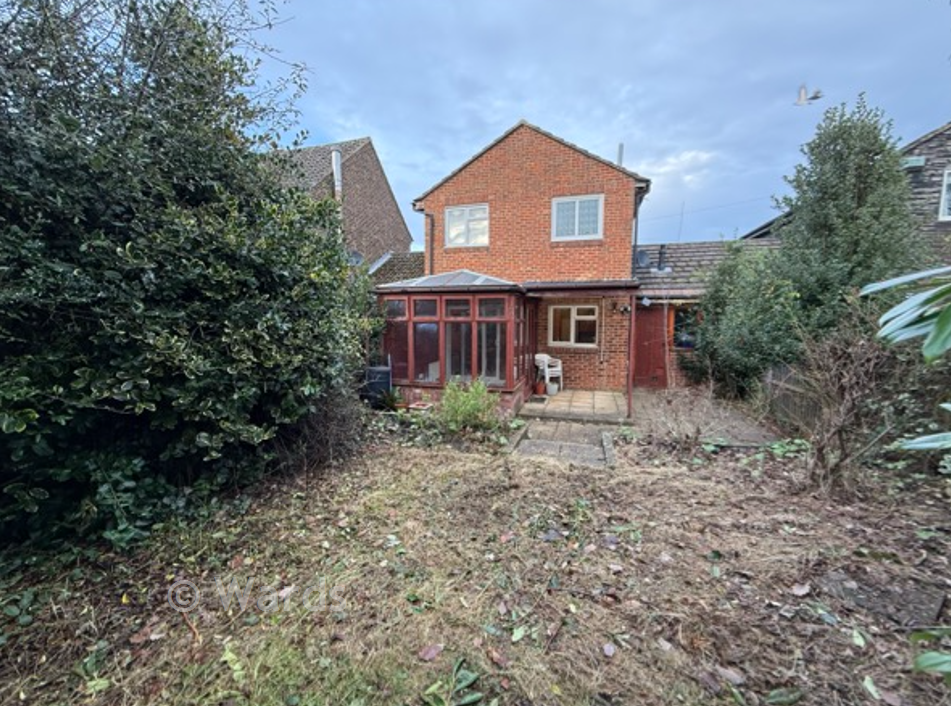 Rear Elevation