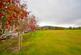 Additional image 29 of Viewfield, Charlestown Road, Aboyne, AB34