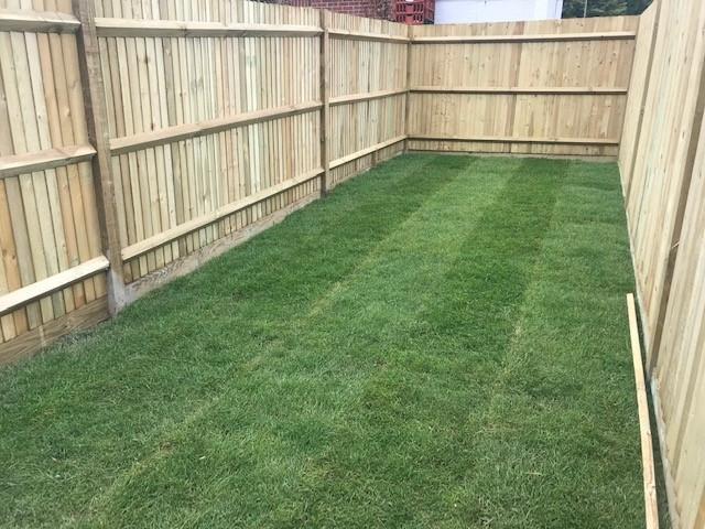 Garden photo.jpg