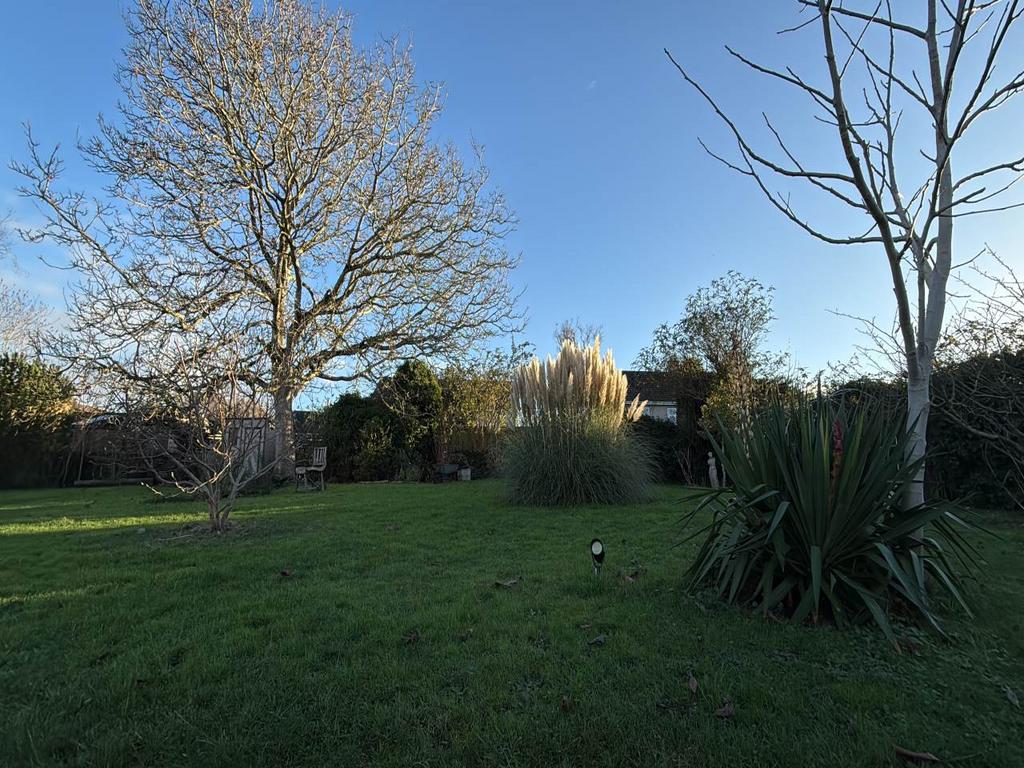 Communal garden