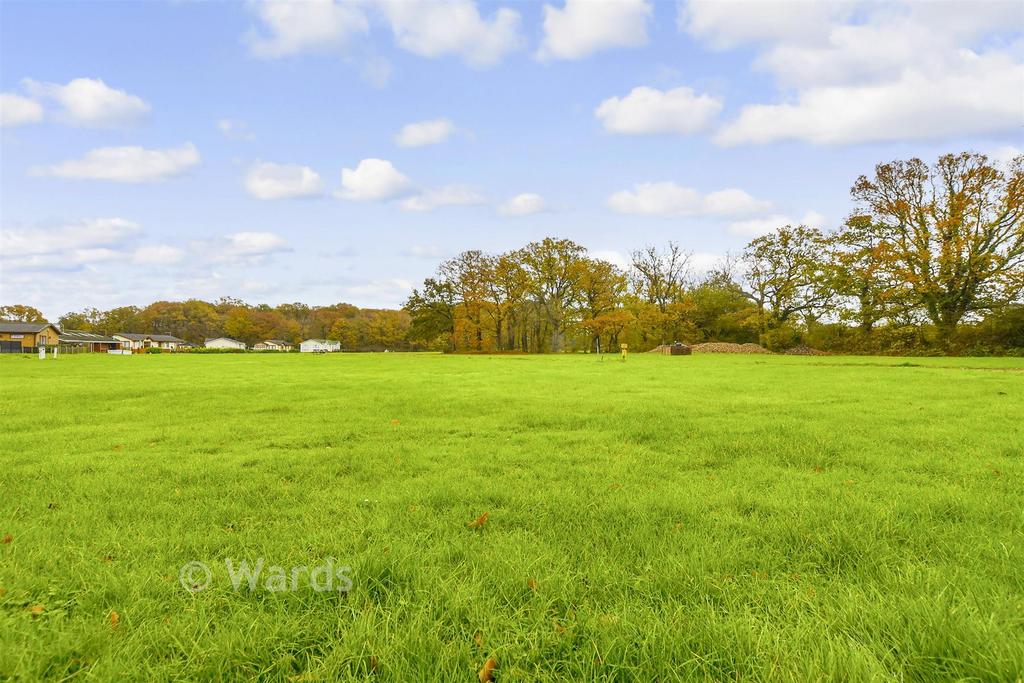 Surrounding Area