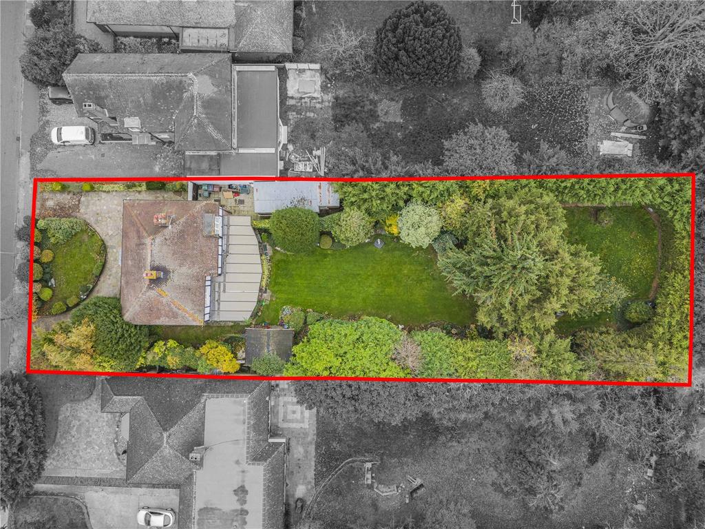 Plot View