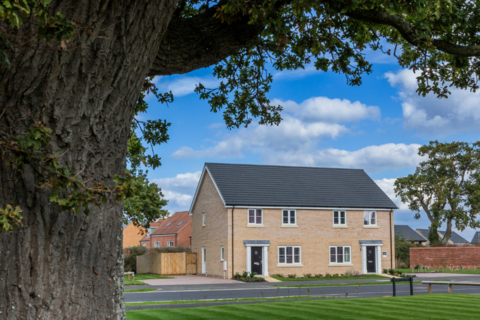 undefined, Plot 115, The Cedar, The Cedar at Briarswood, Mendham Lane IP20