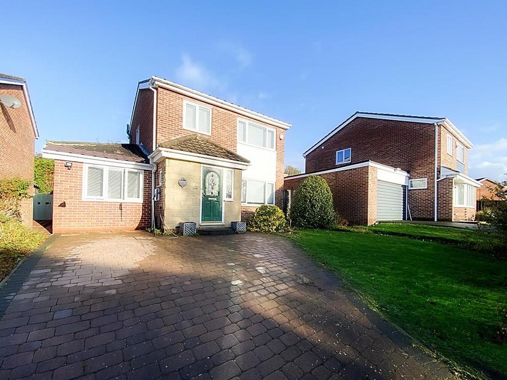 IMG 3203 2.jpg