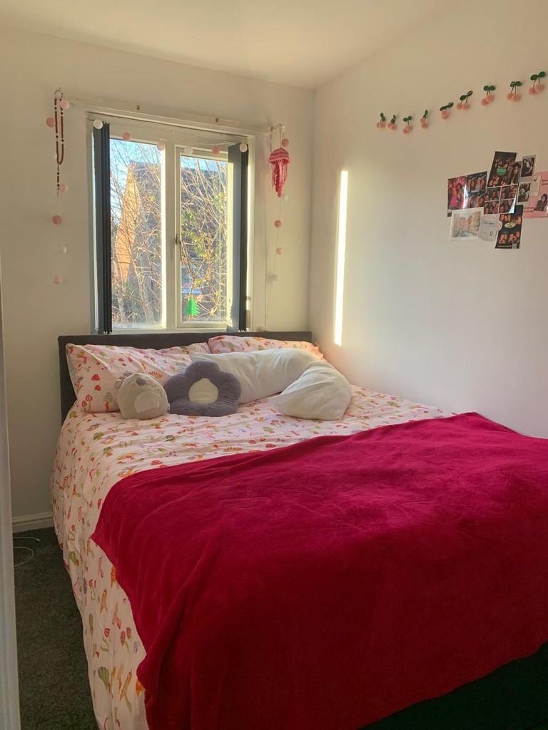 Whats App Image 2025-11-25 at 3.14.27 PM (1)