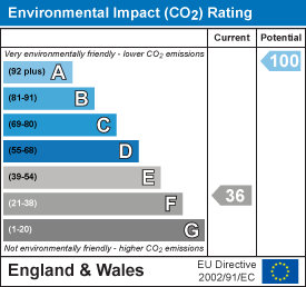 EI Rating