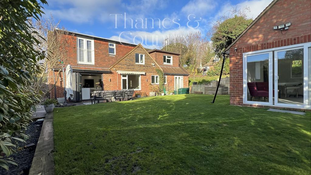 Back garden