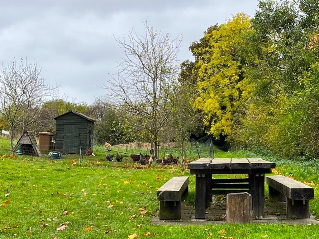 Comunnity gardens
