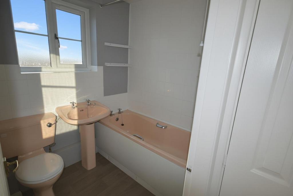 Generated custom 1764073611.jpg