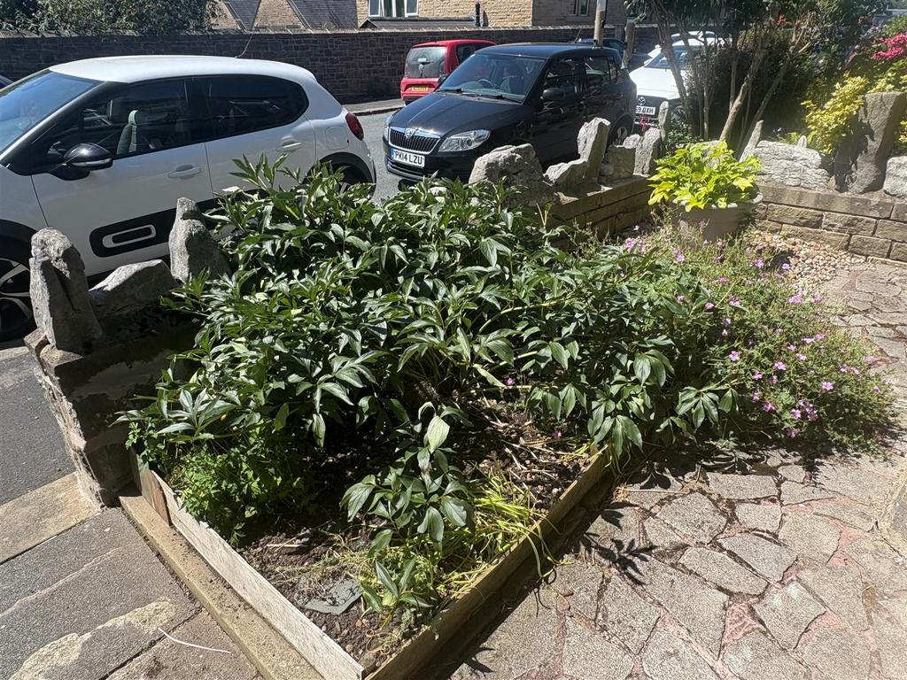 Front Garden.jpg