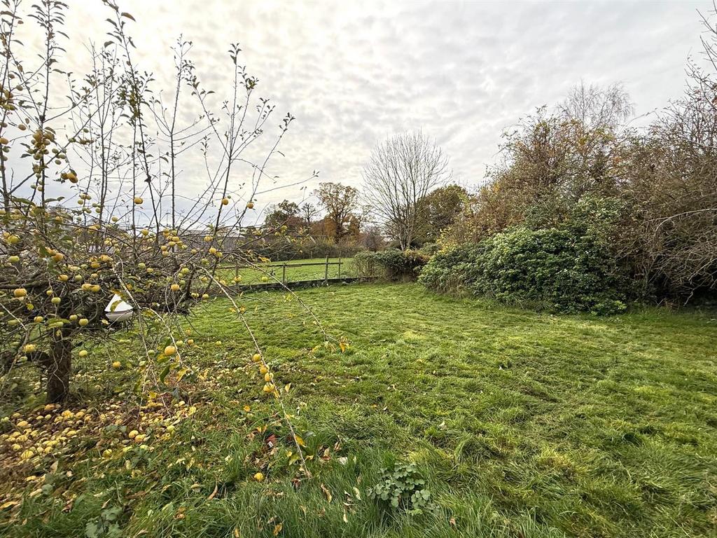 Garden 1.jpg