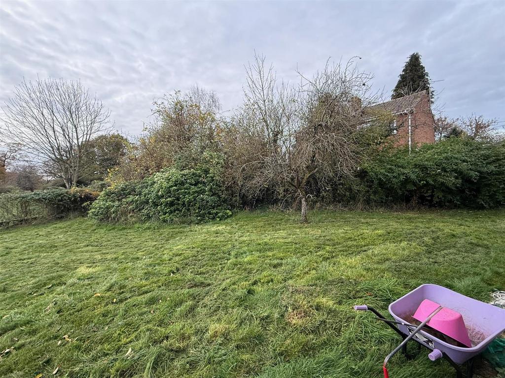 Garden 2.jpg