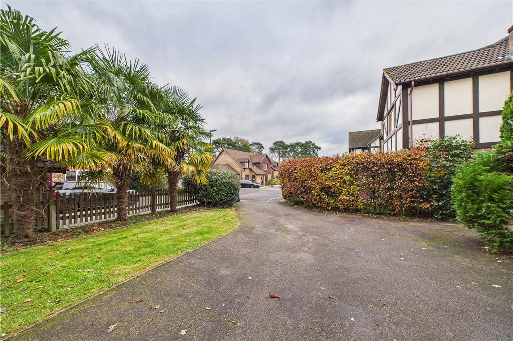 Front Garden/Drive