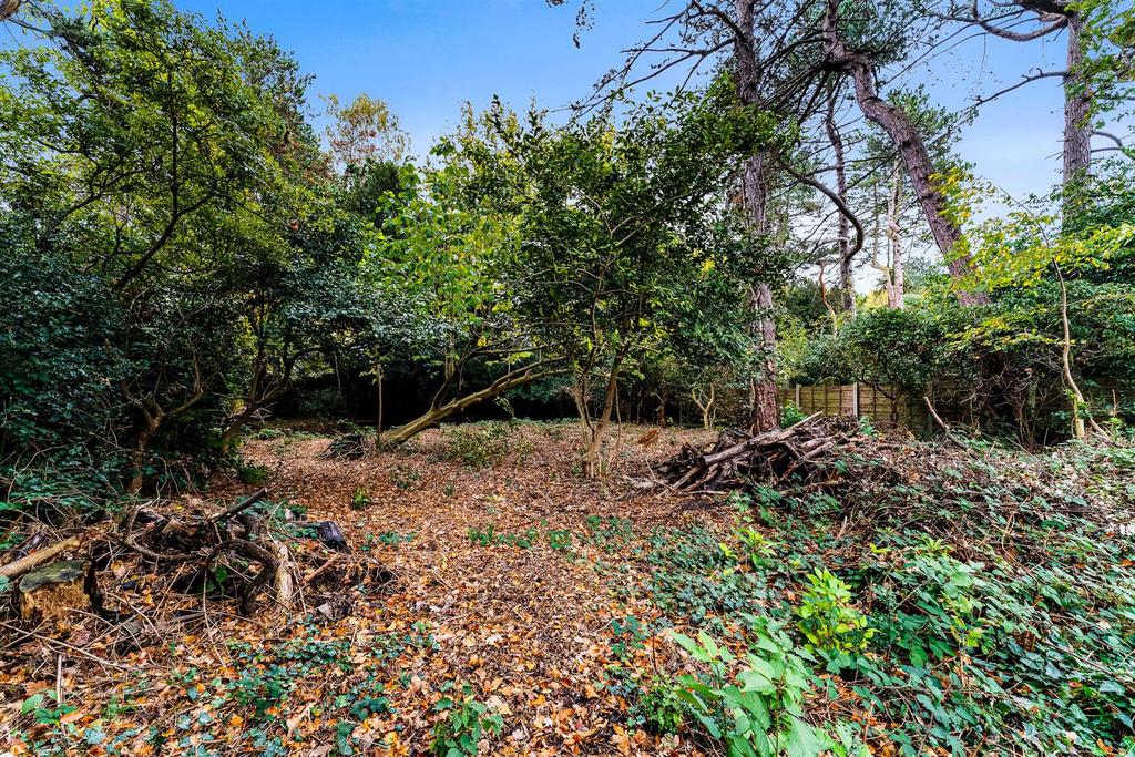 Woodland