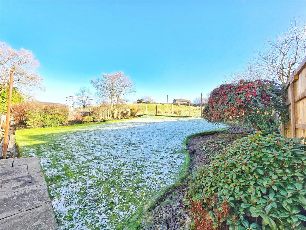 Rear Lawn