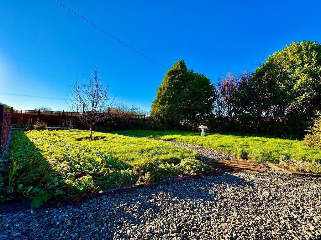 Side Lawn